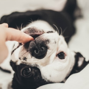 Connection Candle Set