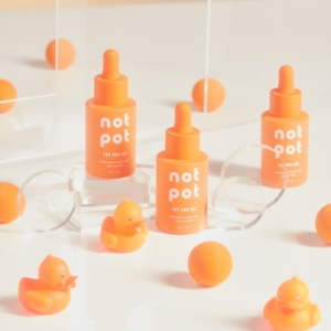 Fur Bridge Keepsake Box