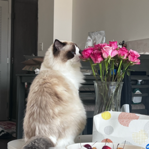 Burning Blessings Kit